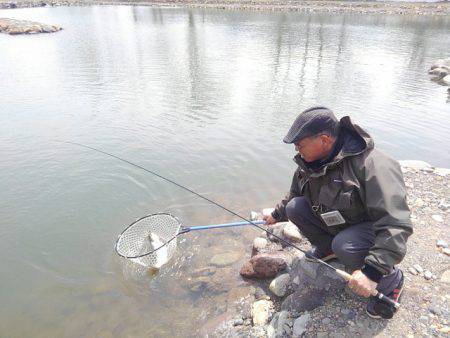 つりぼりあかし 釣果
