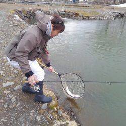 つりぼりあかし 釣果