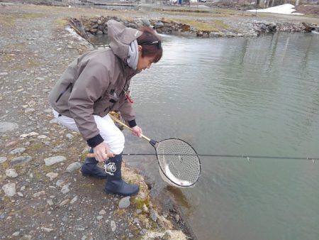 つりぼりあかし 釣果