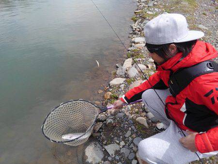 つりぼりあかし 釣果