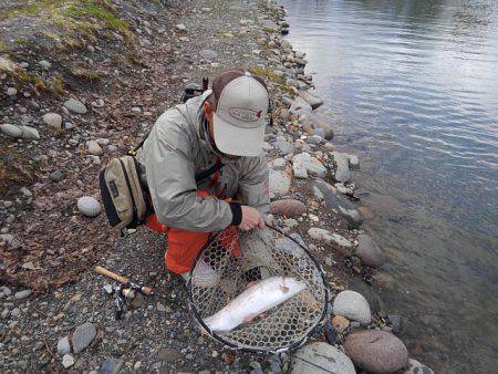 つりぼりあかし 釣果