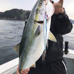 アマテラス 釣果