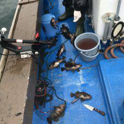 海龍丸（石川） 釣果