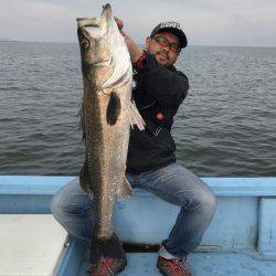 アマテラス 釣果