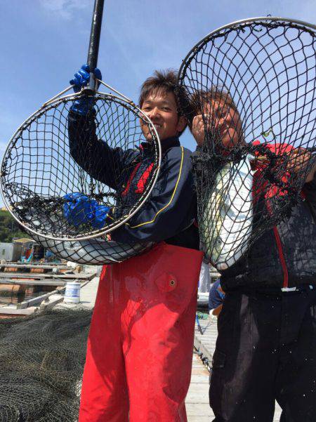 海の釣堀 海恵 釣果