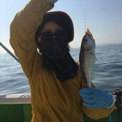 金沢八景鴨下丸 釣果