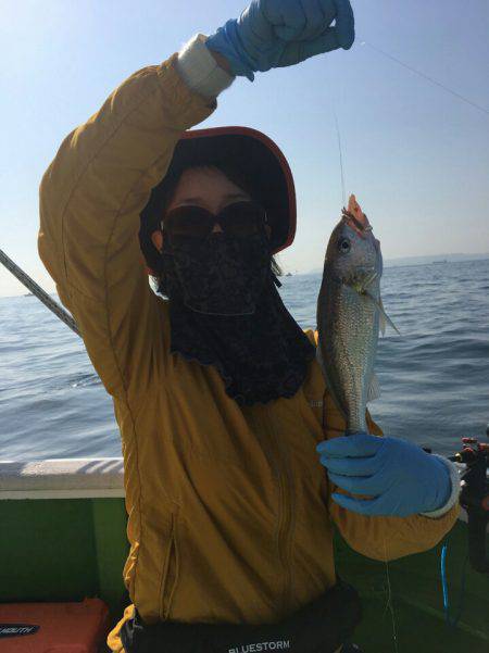 金沢八景鴨下丸 釣果