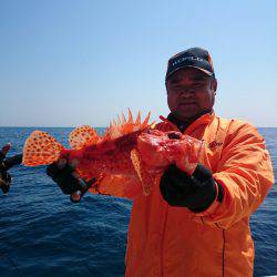 エンペラー 釣果