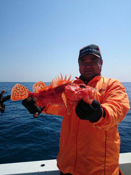 エンペラー 釣果