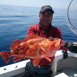 エンペラー 釣果