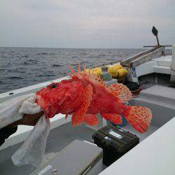 エンペラー 釣果