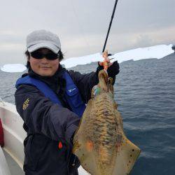 ソルトウォーターガイドフレンズ 釣果