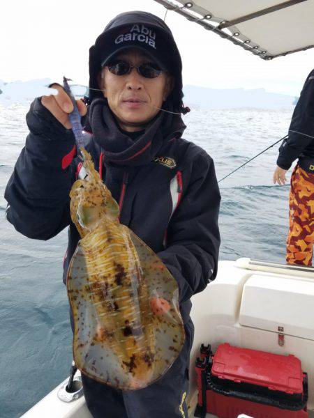 ソルトウォーターガイドフレンズ 釣果