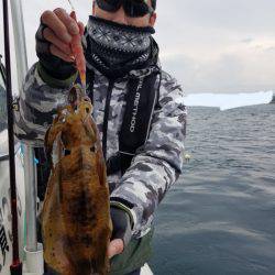 ソルトウォーターガイドフレンズ 釣果