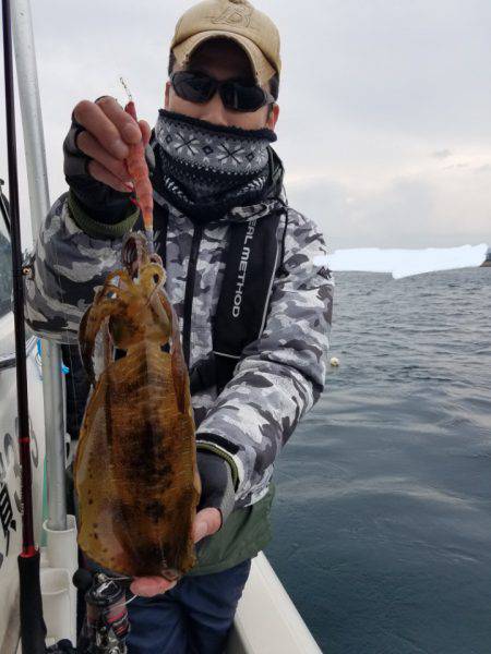 ソルトウォーターガイドフレンズ 釣果