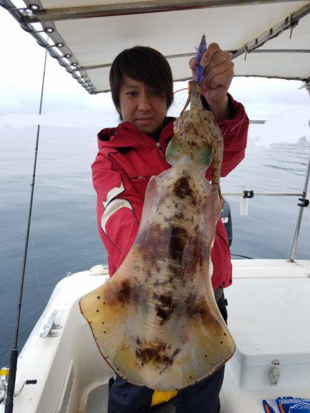 ソルトウォーターガイドフレンズ 釣果