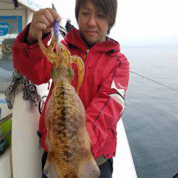 ソルトウォーターガイドフレンズ 釣果