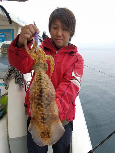 ソルトウォーターガイドフレンズ 釣果