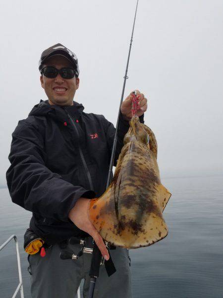 ソルトウォーターガイドフレンズ 釣果