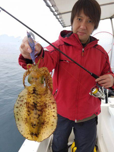 ソルトウォーターガイドフレンズ 釣果