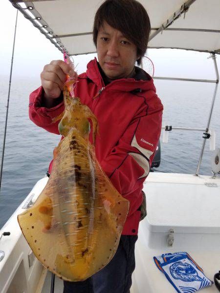 ソルトウォーターガイドフレンズ 釣果