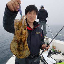 ソルトウォーターガイドフレンズ 釣果