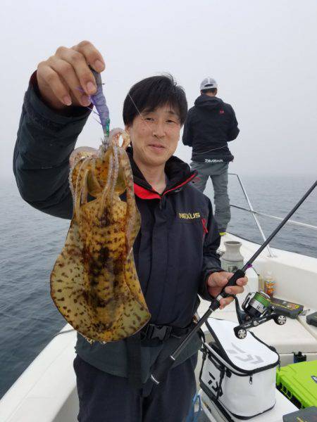 ソルトウォーターガイドフレンズ 釣果