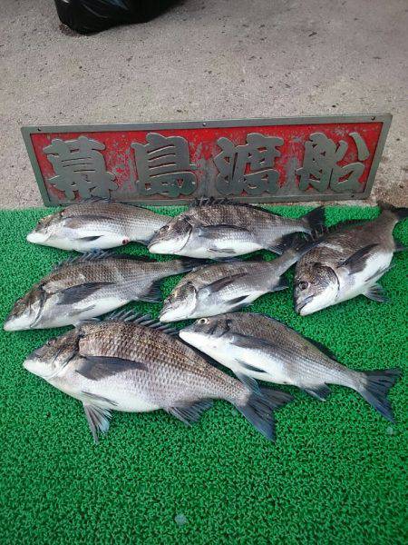 幕島丸 釣果