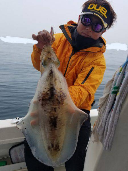 ソルトウォーターガイドフレンズ 釣果