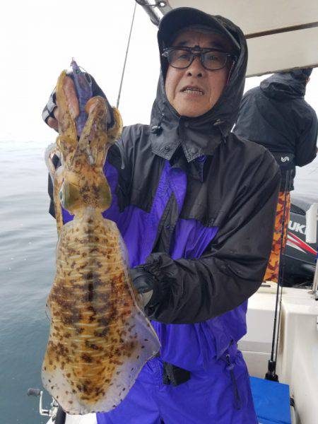 ソルトウォーターガイドフレンズ 釣果