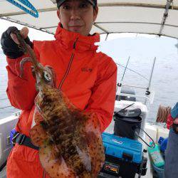 ソルトウォーターガイドフレンズ 釣果