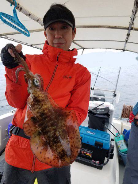 ソルトウォーターガイドフレンズ 釣果