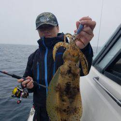 ソルトウォーターガイドフレンズ 釣果