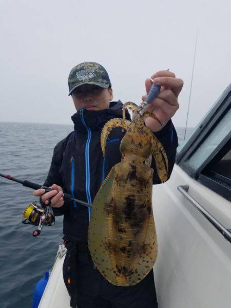 ソルトウォーターガイドフレンズ 釣果