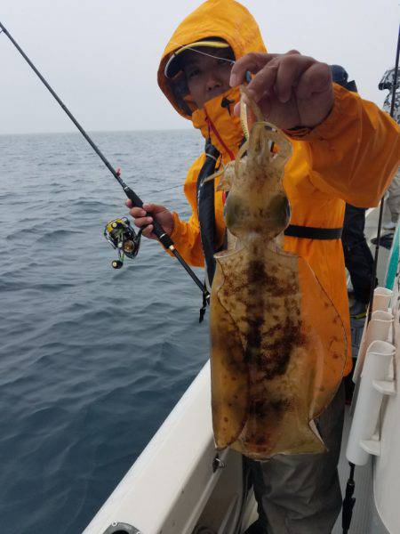 ソルトウォーターガイドフレンズ 釣果