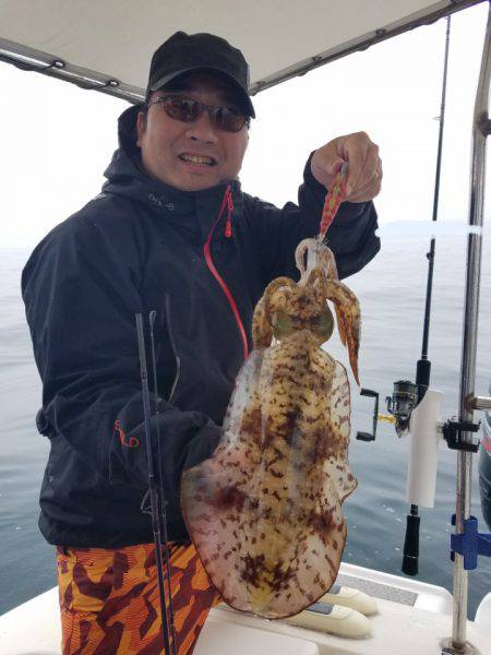 ソルトウォーターガイドフレンズ 釣果