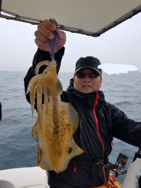 ソルトウォーターガイドフレンズ 釣果