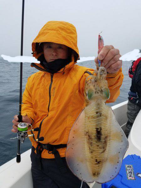 ソルトウォーターガイドフレンズ 釣果