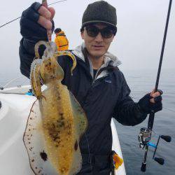 ソルトウォーターガイドフレンズ 釣果