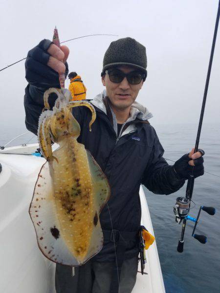 ソルトウォーターガイドフレンズ 釣果