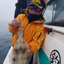 ソルトウォーターガイドフレンズ 釣果