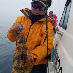 ソルトウォーターガイドフレンズ 釣果