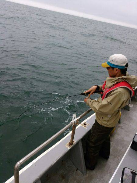 ありもと丸 釣果