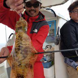 ソルトウォーターガイドフレンズ 釣果