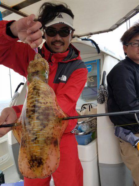 ソルトウォーターガイドフレンズ 釣果