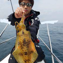 ソルトウォーターガイドフレンズ 釣果