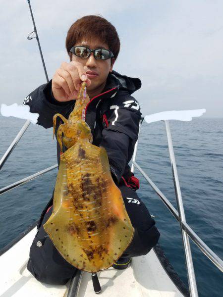 ソルトウォーターガイドフレンズ 釣果