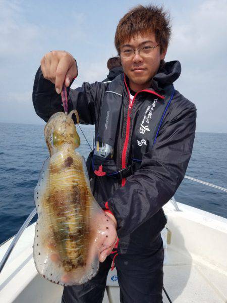 ソルトウォーターガイドフレンズ 釣果