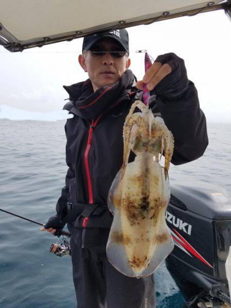 ソルトウォーターガイドフレンズ 釣果