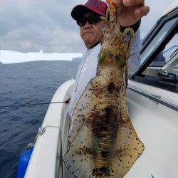 ソルトウォーターガイドフレンズ 釣果